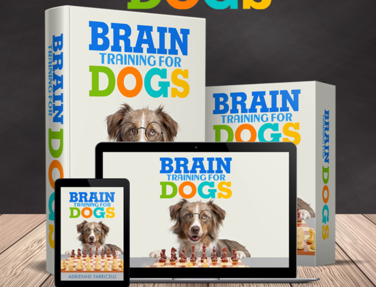 Brain Training For Dogs – Unique Dog Training Course