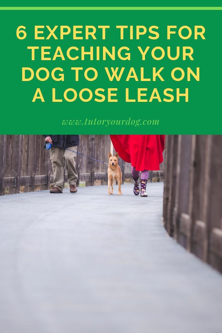 Enjoy Taking Your Dog For A Walk By Teaching Your Dog To Walk On A Loose Leash