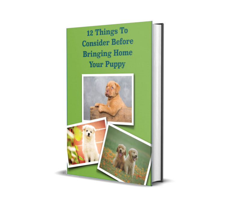 12 Things To Consider Before Bringing Home Your Puppy Book