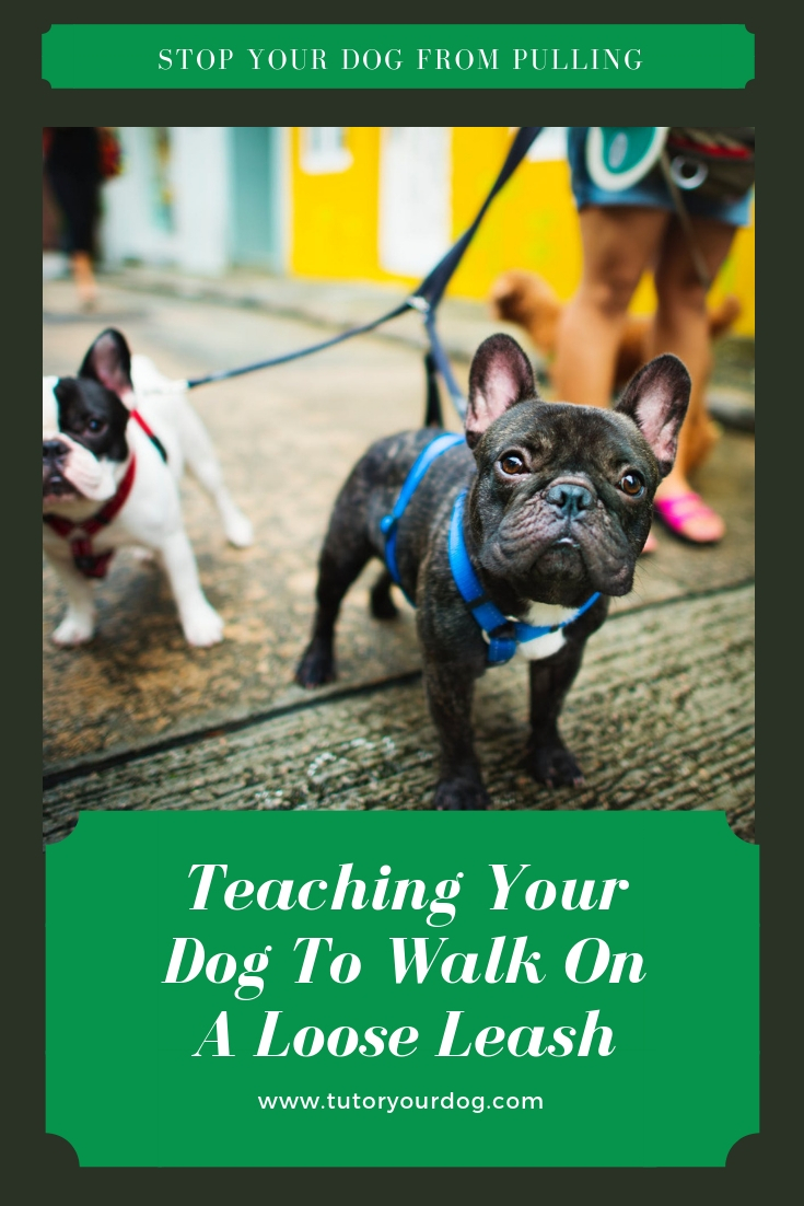 Teach your dog not pull when out for a walk.
