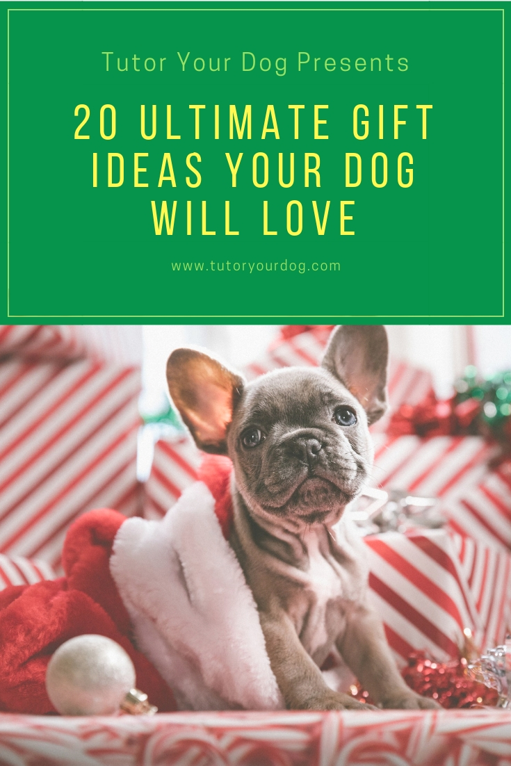 20 Ultimate Gift Ideas Your Dog Will Love