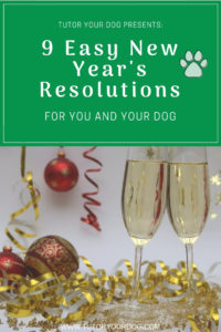If you'd like to include your dog in your New Year's Resolution, check out our 9 Easy New Year's Resolutions For You And Your Dog.  Click through to get some ideas of New Year's Resolutions for you and your dog.  