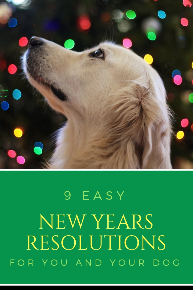 Why not include your dog in your New Year's Resolution this year. Check out our New Year's Resolutions that you can do with your dog. Click through to read the article.