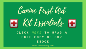 Canine First Aid Kit Essentials- get our free ebook to know what to have in your dog's first aid kit.