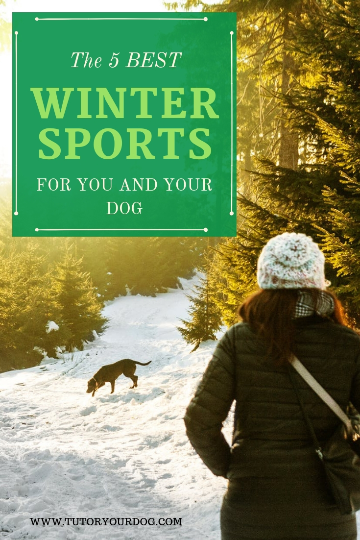 Don't let the cold temperatures stop you from enjoying the great outdoors. We discuss our top 5 best winter sports for you and your dog. Click through to read the article.
