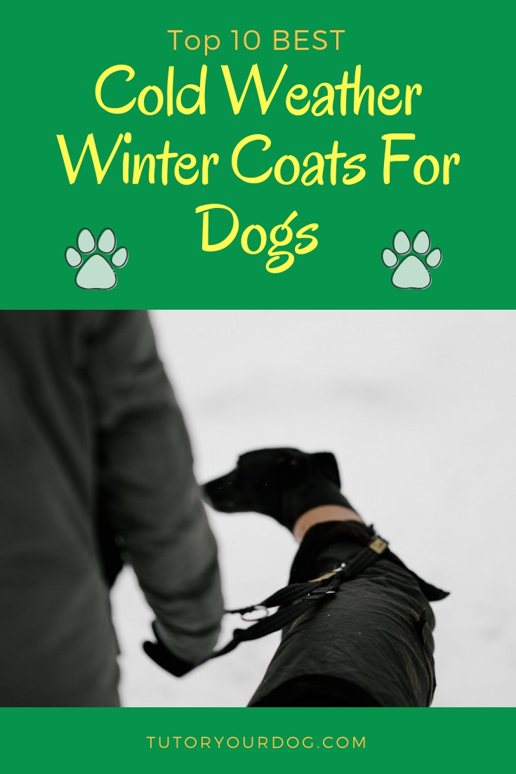 Top 10 Best Cold Weather Winter Coats For Dogs.  Keep your dog warm this winter so he can enjoy his outings.  Click through to read the article.  