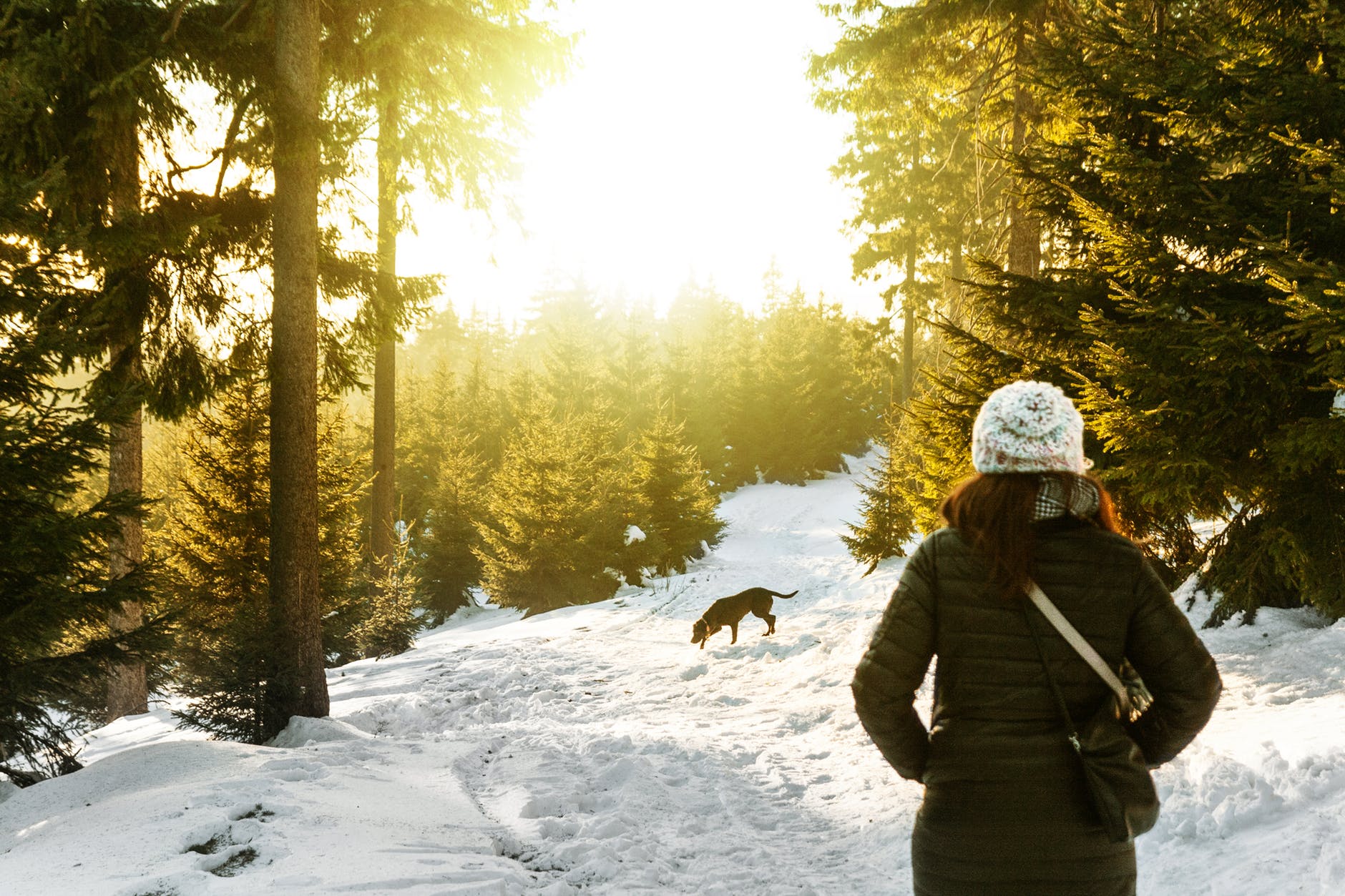 The 5 Best Winter Sports For You And Your Dog