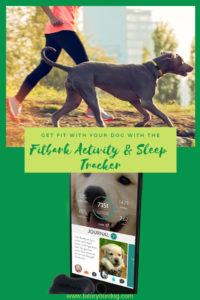 Get in shape with your dog!  The Fitbark 2 device attaches to your dog's collar and tracks his activity and sleep patterns much like the Fitbit does for people.  One of the coolest features of the Fitbark 2 is that you can actually link your dog's Fitbark to your Fitbit.  Download the app and start tracking your dog's activity.