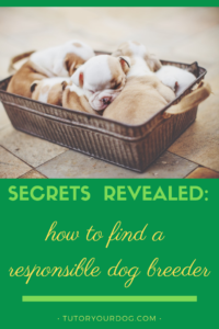 Secrets Revealed: How To Find A Responsible Dog Breeder