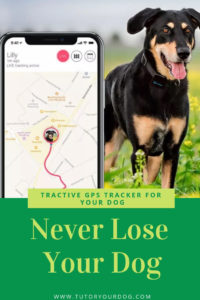The Tractive GPS Tracker allows you to track your dog's location through an app on your smart phone.  The device is waterproof and shock resistant so it's durable for those dogs that are on the go.  By using cellular network coverage, you can track your dog from almost anywhere in the world. This device is also suitable for cats!  It's recommended that the pet be over 4.5kg to use the Tractive GPS Tracker. There are several subscription plans available.