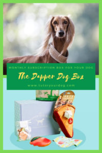 The Dapper Dog Box is a monthly dog subscription box.  There are many options to choose from and the boxes can be customized.  Each month your dog will receive a box in the mail with treats, toys and accessories.  The Dapper Dog Box includes a unique bandanna in each box so your dog will look stylish and never get bored of the treats and toys that you have for him.  