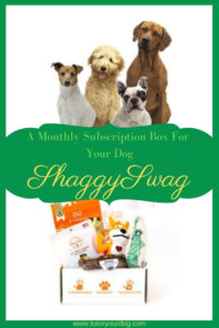 Subscription boxes seem to be the latest trend for people and now for our dogs too!  Each month a box will be delivered that includes toys, treats and chews.  There are several different types of boxes to choose from including the ShaggySwag box, the ShaggyShredder box and the ShaggyOutfit box.  All 3 boxes can be customized by you for your dog.