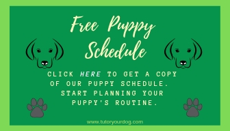 Get our free puppy schedule to start your puppy off right.