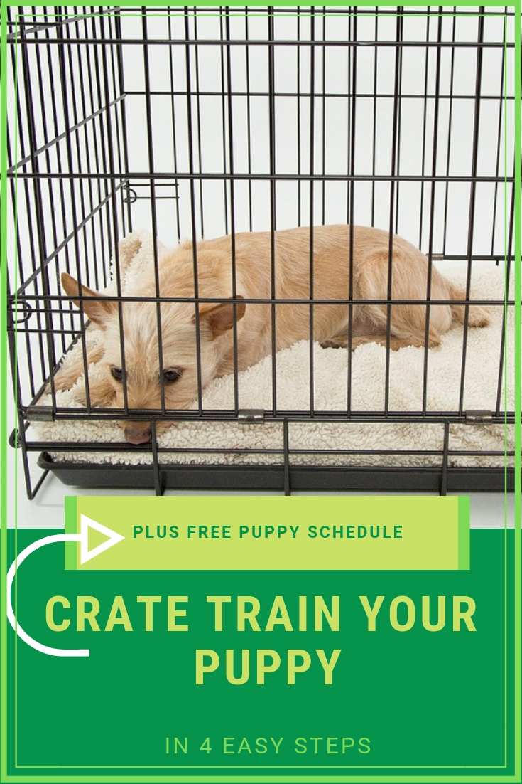 4 Easy Tips For Crate Training Your Puppy