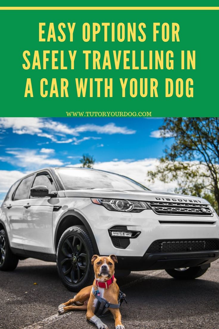 Easy Options For Safely Travelling In A Car With Your Dog. Keep your dog safe while he travels with you in your car.  Click through to read the article to find out the best ways to travel in a car with your dog.