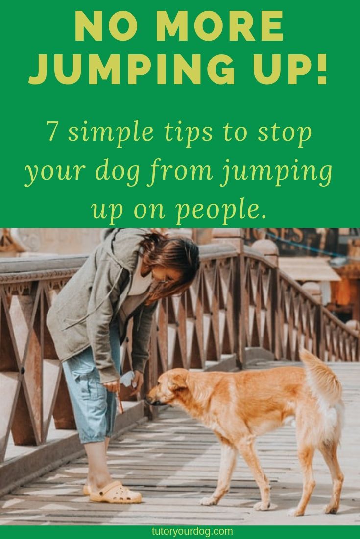 No more jumping up. 7 simple tips to stop your dog from jumping up on people. 