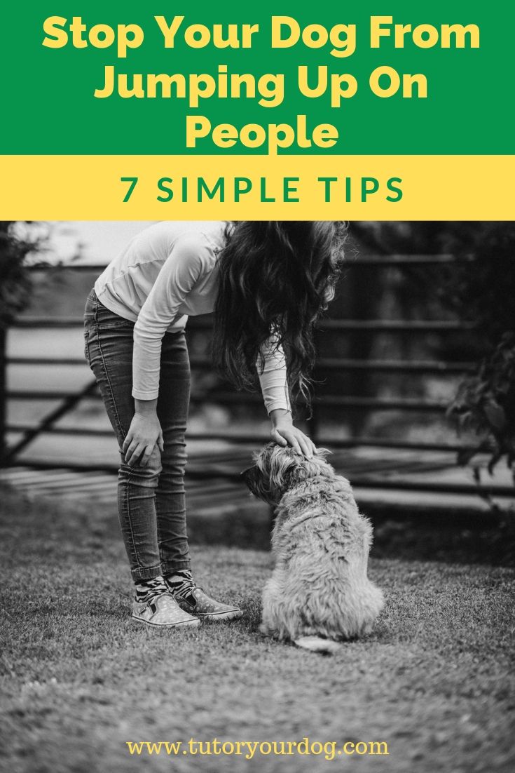 Stop your dog from jumping up on people with our 7 simple tips. Click through to read the article so you can start training your dog how to greet people appropriately today.