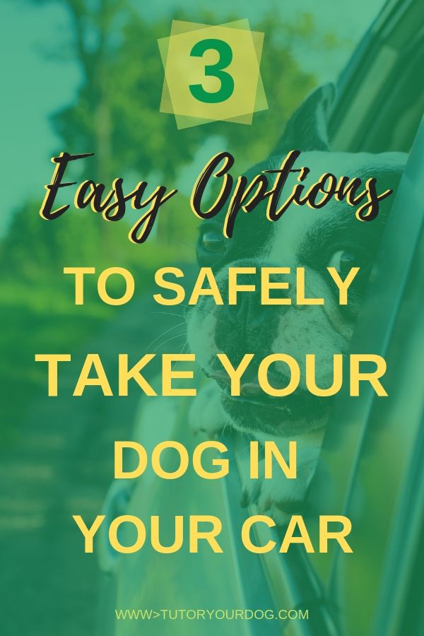 3 easy options to safely take your dog in your car with you.  Keeping your dog safe while travelling is important.  Click through to learn the 3 best ways to travel in your car with your dog.
