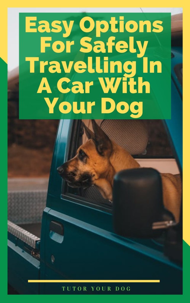 Make sure that your dog is safe while travelling in your car.  Click through to check out our 3 safest ways to take your dog in your car.  Keep safety in mind on your road trips with your dog.
