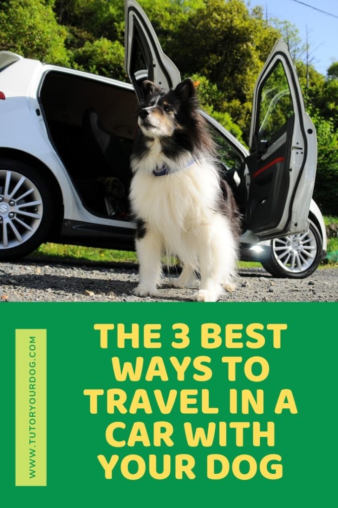 Keep your dog safe when he travels in the car with you.  We share 3 great options to keep your dog safe in your vehicle.  Click through to read the article.