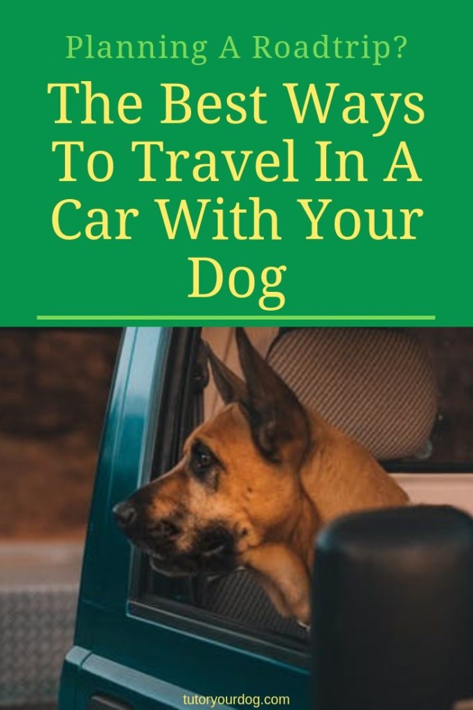 Planning a road trip with your dog? We share the best ways to travel in a car with your dog.  Click through to read the article to find out how to keep your dog safe when travelling with you.