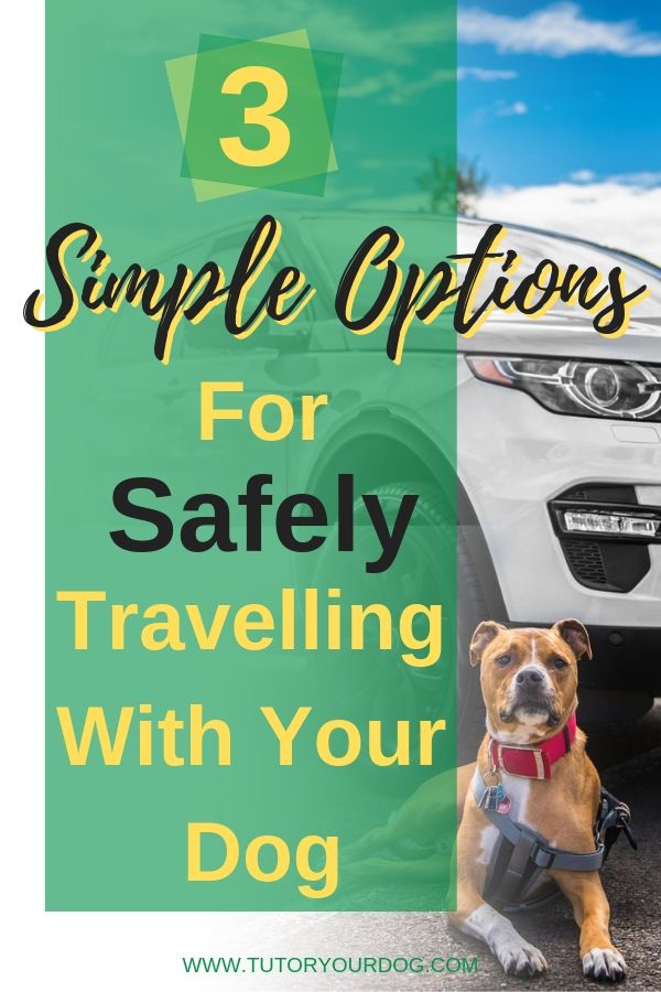 Keep your dog safe when travelling in your car.  Check out our 3 simple options for safely travelling in your car with your dog.  Click through to read the article.
