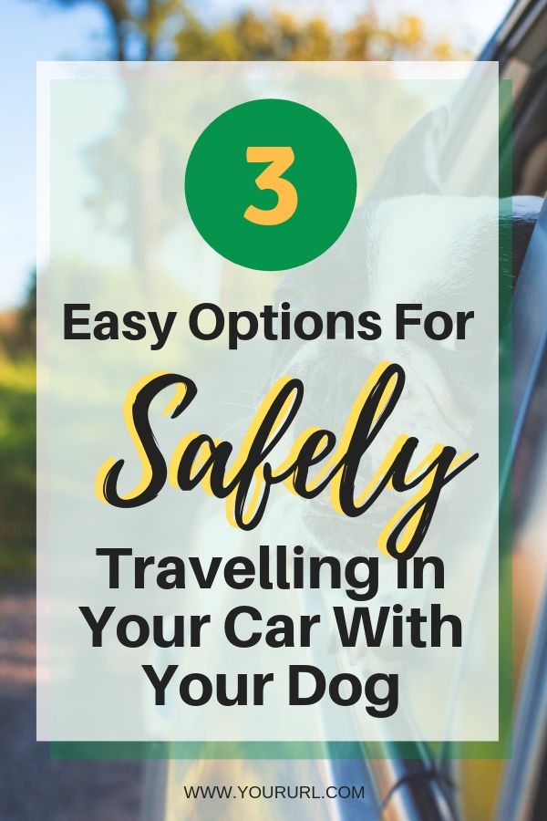 Planning a road trip with your dog?  Keep your dog safe when travelling in your car.  Check out our 3 easy options for safely travelling in your car with your dog.  Click through to read the article.
