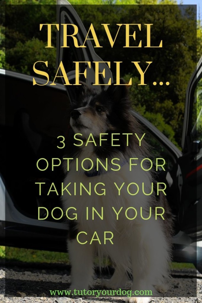 3 safety options for taking your dog in your car.  Keep your dog safe when he travels with you.  Click through to read the article.