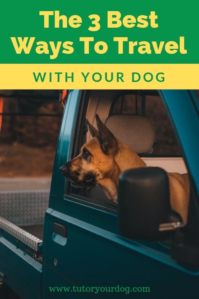 Planning a road trip with your dog?  Check out the 3 best ways to travel with your dog.  Click through to read the article.  