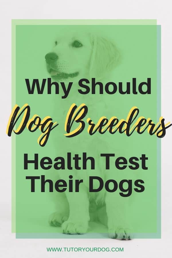 When looking for a puppy make sure you ask breeders if they health test their dogs.  Click through to find out why dog breeders should health test their dogs before breeding them.