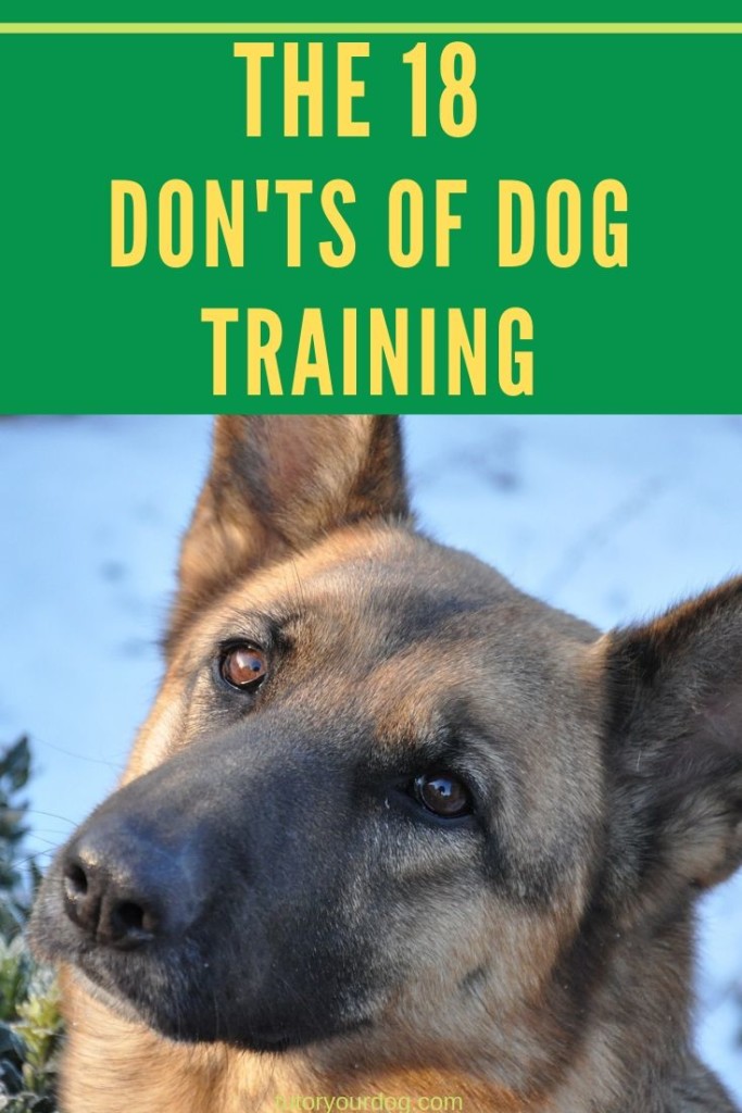 When training your dog it is just as important to know what NOT to do as it is to know what to do.  Click through to read our 18 Don'ts of Dog Training so you can learn what not to do so you can train your dog to be the best he can be.