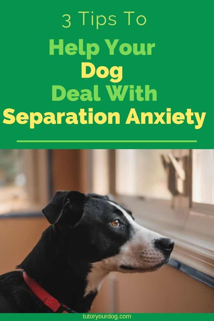 If your dog suffers from separation anxiety it can be very stressful for you and your dog.  Fortunately, there are things that you can do to help your dog deal with being left home alone.  Click through to check out 3 tip to help your dog deal with separation anxiety.