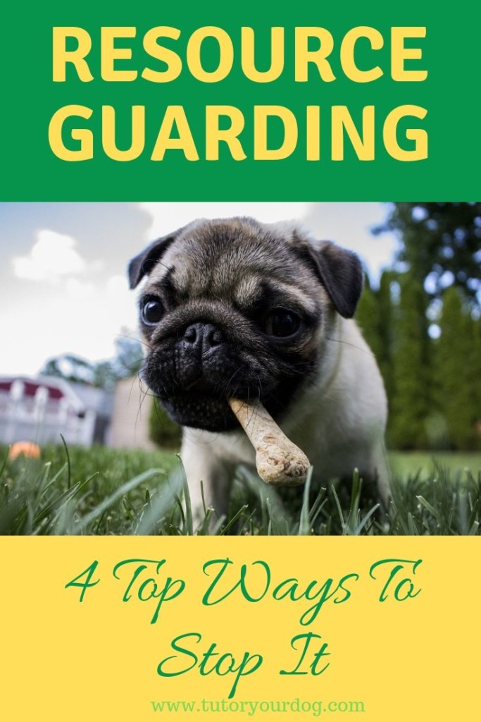 Is resource guarding a problem with your dog?  Dog possessiveness can quickly become a big problem if it isn't stopped right away.  Click through to learn our 4 top strategies to stop your dog from resource guarding.
#dogtraining #resourceguarding #dogpossessiveness