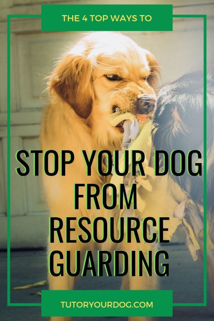 Does your dog growl at you or show his teeth when you go near his food or toys?  When a dog is possessive of his food and toys, it's called resource guarding.  Resource guarding can quickly become a problem if it's not stopped.  Click through to learn our 4 top ways to stop your dog from resource guarding.
#resourceguarding #dogtraining
