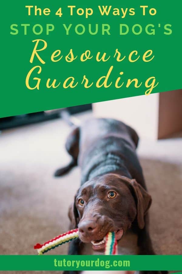 Is your dog a resource guarder?  If so, check out our 4 tops ways to stop your dog's resource guarding.  Click through to read the article.  #dogtraining #resourceguarding