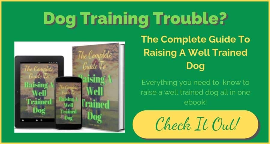 The Complete Guide To Raising A Well Trained Dog