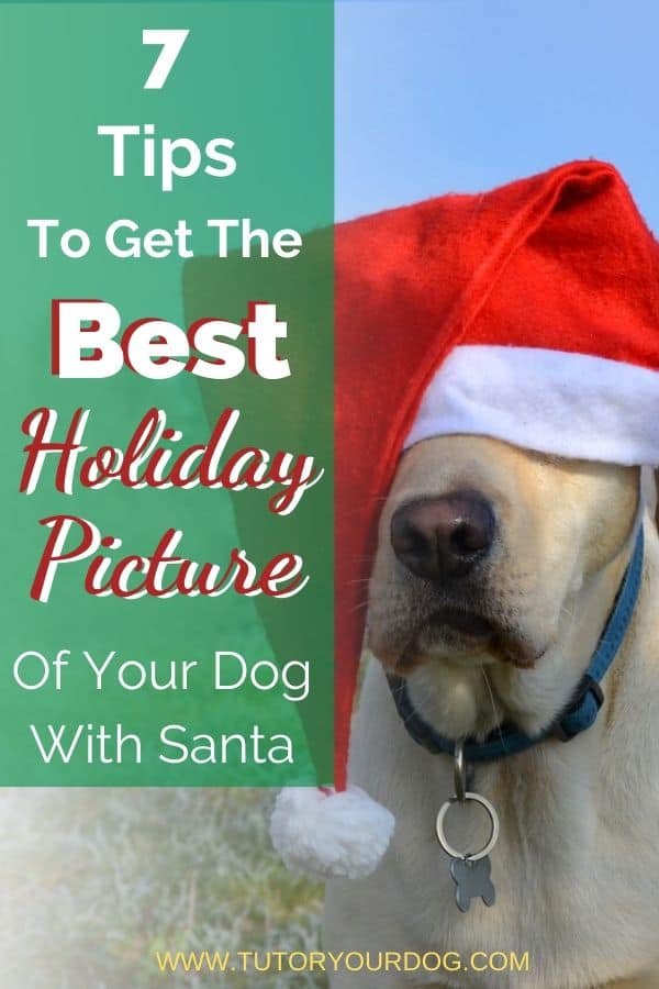 It's the holiday season and that means Santa pictures!  Learn how you can easily get that shareworthy Christmas photo of your dog with Santa.  Click through to read the article.
