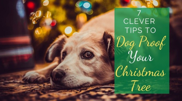 7 Clever Tips To Dog Proof Your Christmas Tree