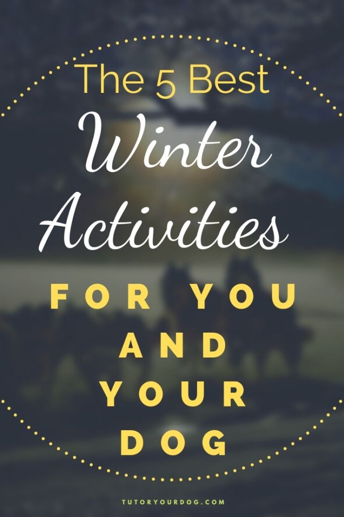 The winter is the perfect time to enjoy the outdoors with your dog.  There are lots of outdoor winter actitvities you can do with your dog.  Click throught to check out the 5 best winter activities for you and your dog.