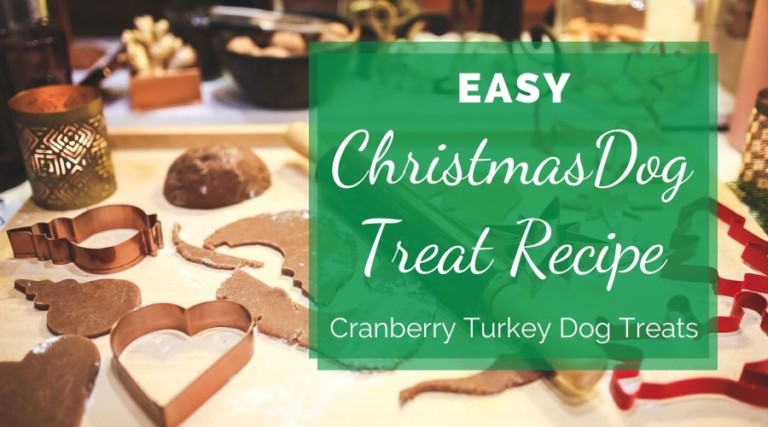 Easy Christmas Dog Treat Recipe
