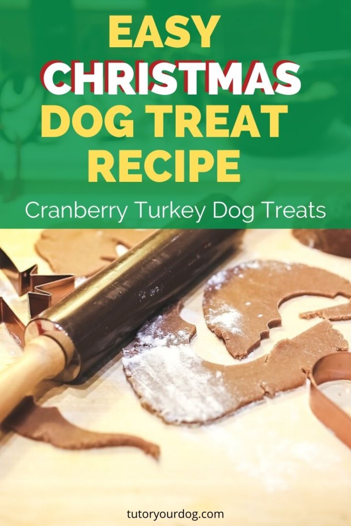 Spoil your dog this Christmas with our easy Christmas dog treat recipe.  Your dog will love our Cranberry Turkey dog treats.  Click through to check out our favourite Christmas dog treat recipe.  