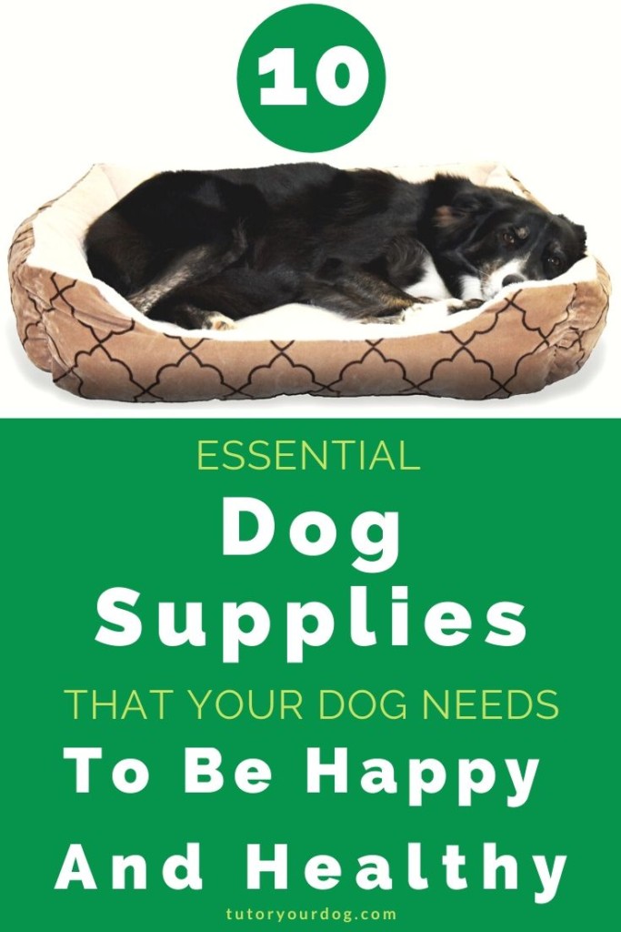 Part of being a responsible dog owner is making sure that your dog is cared for properly and loved.  There are some must have dog supplies that every dog needs in order to be healthy and happy.  Click through to read the article to make sure that you have everything that your dog needs.
