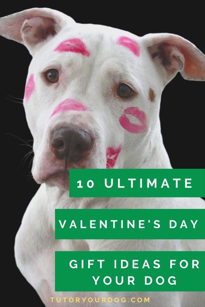 Looking for Valentine's Day gift ideas?  We have put together a list of 10 Valentine's day gift ideas that your dog will love.  We have also included a downloadable Valentine's Day gift guide for the dog lover in your life.  Click through to check it out.