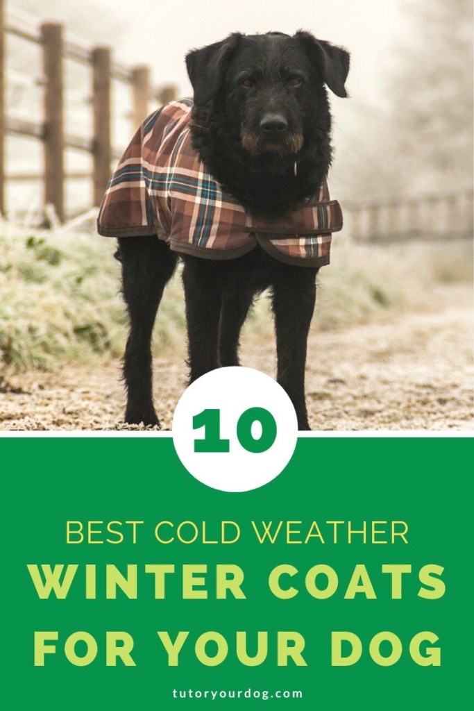 When the temperature gets colder it's time to start thinking about the best winter coats for your dog. Keep your dog warm this winter by checking out our top 10 best winter coats for your dog.  Click through to find out what dog winter jackets we recommend and 8 tips for buying a winter coat for your dog.  