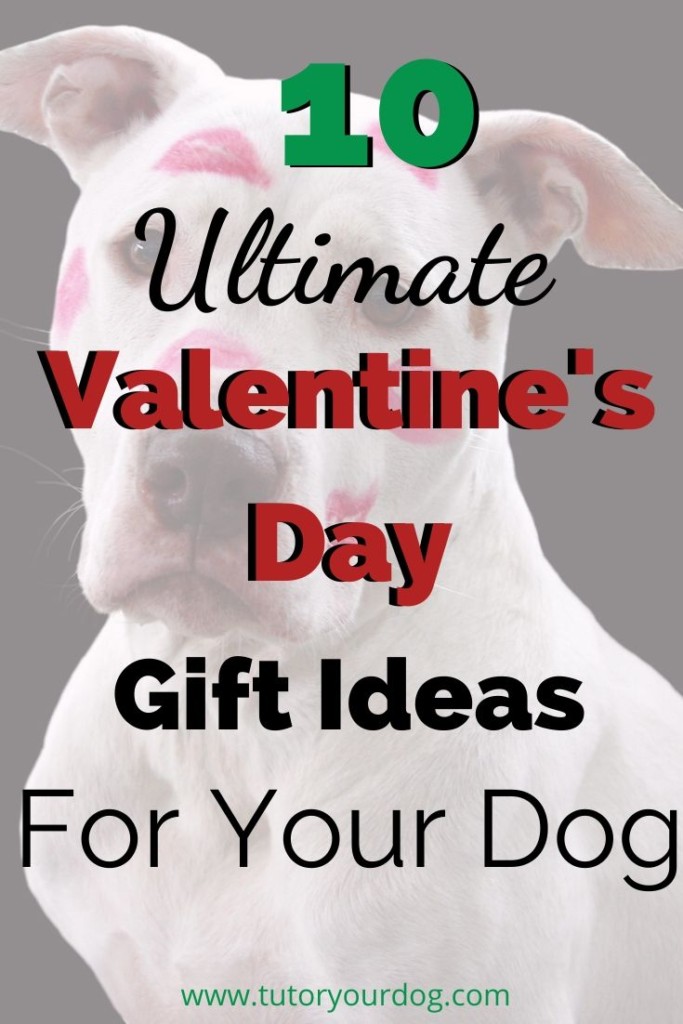 10 Ultimate Valentine's Day gift ideas for your dog.  If you are stuck for gift ideas for your dog we are here to help.  As a bonus we are also including a downloadable Valentine's Day Guide for the dog lover in your life.  Click through to read the article.