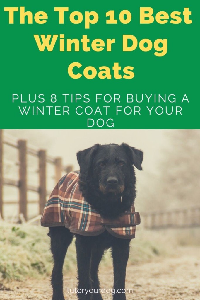 We all want to keep our dog warm this winter but there are so many dog coats to choose from.  Click through to find out what the 10 best winter coats are plus 8 tips on how to buy the perfect winter jacket for your dog.