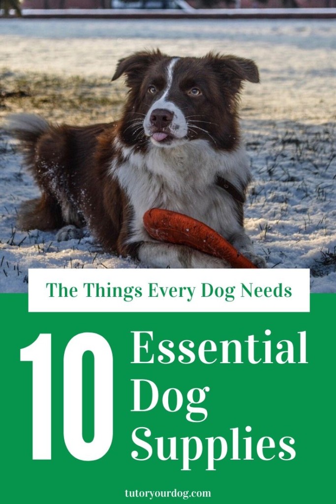 There are things that every dog needs in order to be healthy and happy.  As a responsible dog owner it is important to make sure that your dog has these essential dog supplies.  Click through to learn what supplies your dog needs to be happy.