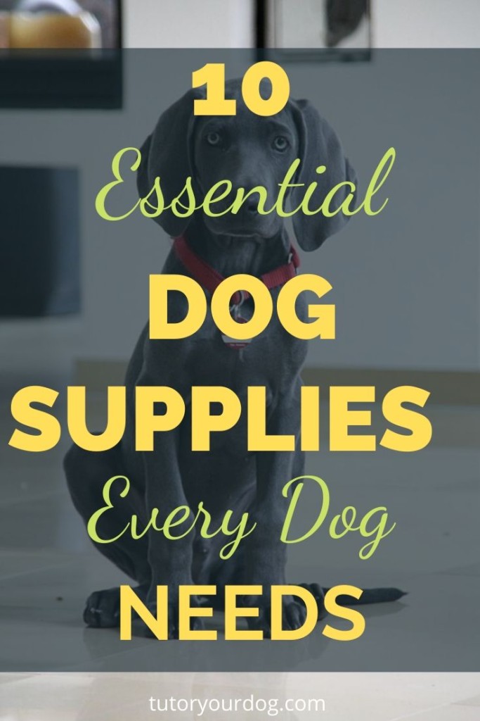 Part of being a responsible dog owner is making sure that you have all the dog supplies your dog needs to be healthy and happy.  Click through to learn what dog supplies your dog needs to have.