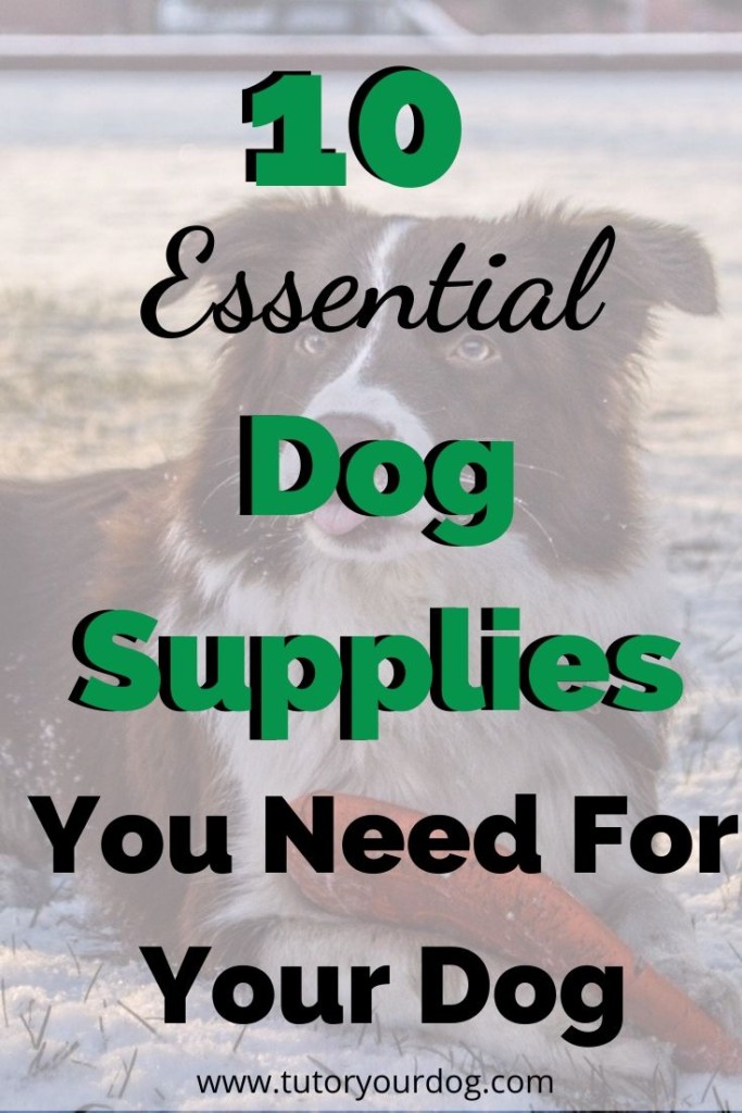 Having the proper dog supplies is important for every pet owner.  Click through to learn what essential dog supplies you need for a happy and healthy dog.
