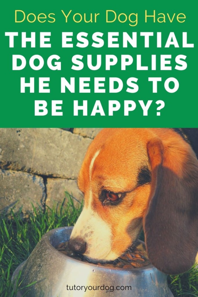Find out if your dog has the supplies he needs in order to be healthy and happy.  Click through to learn what the 10 essential dog supplies are that every dog should have.
